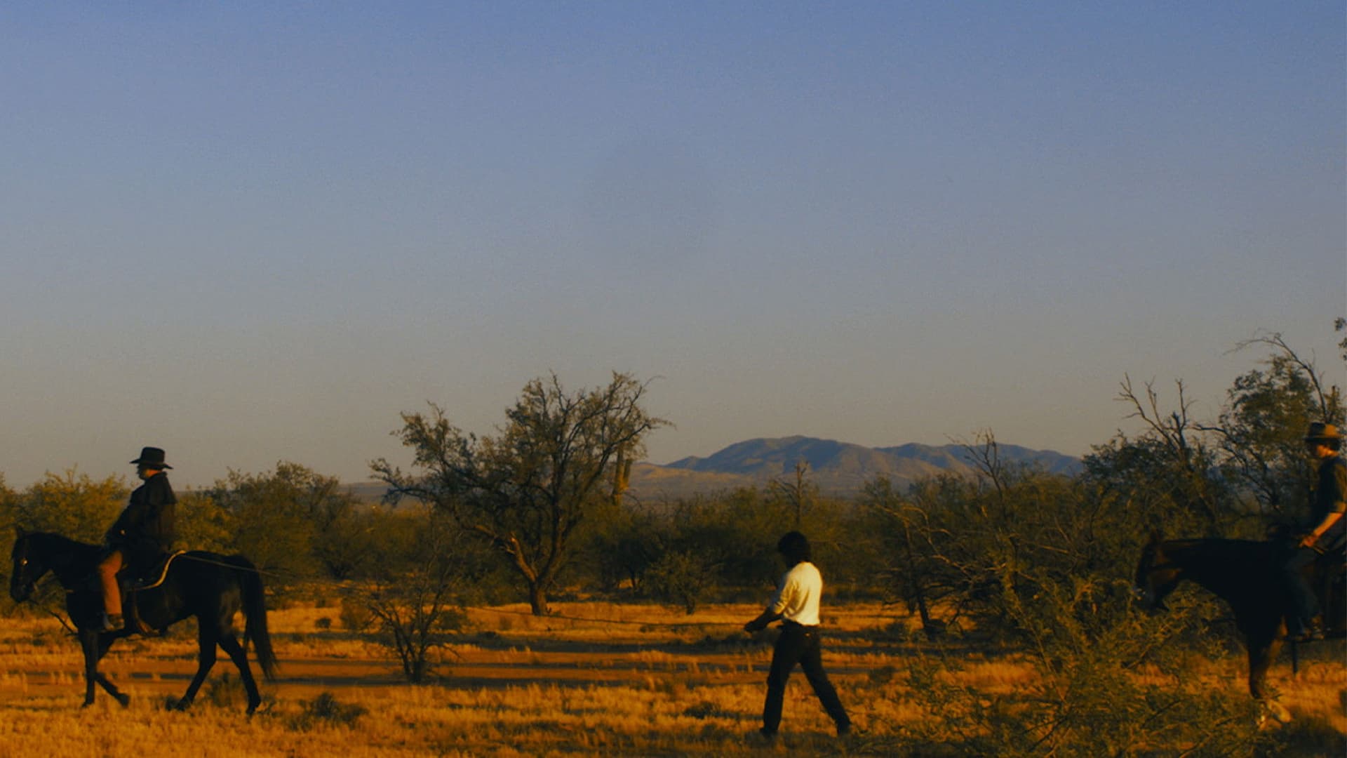 The Bad Taste Better backdrop