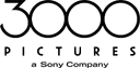 3000 Pictures