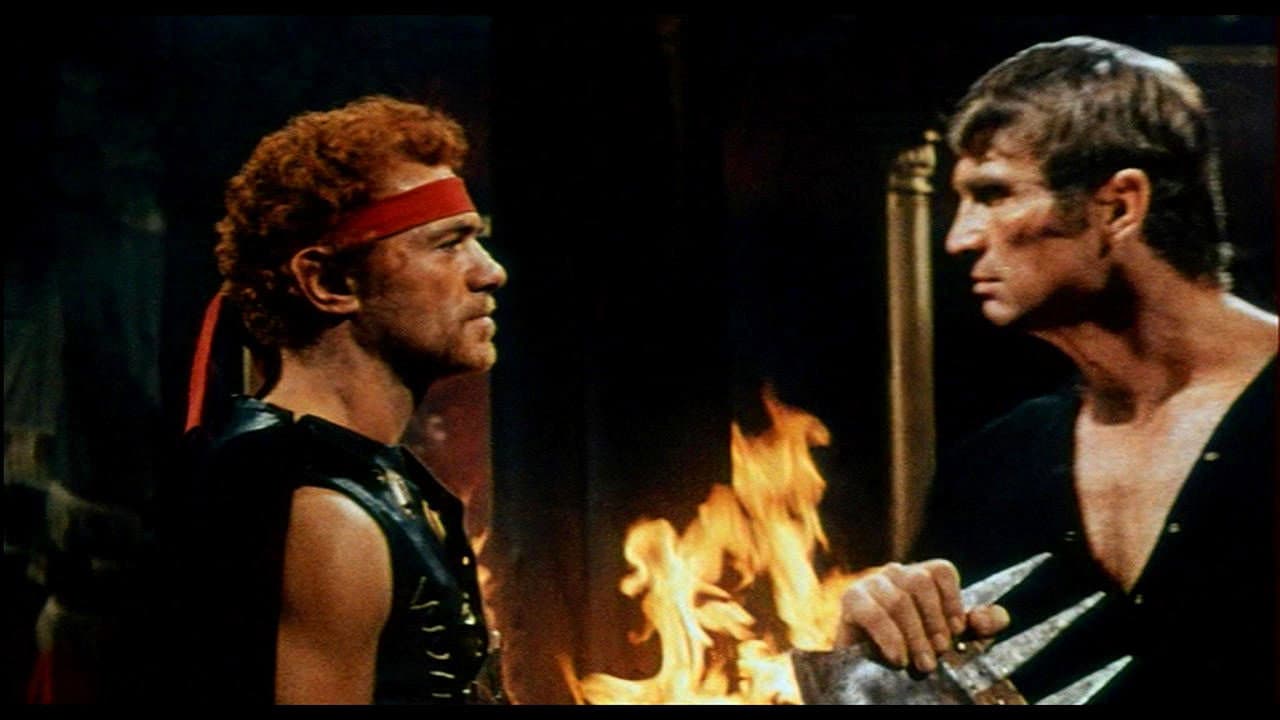 The Stone Forest backdrop