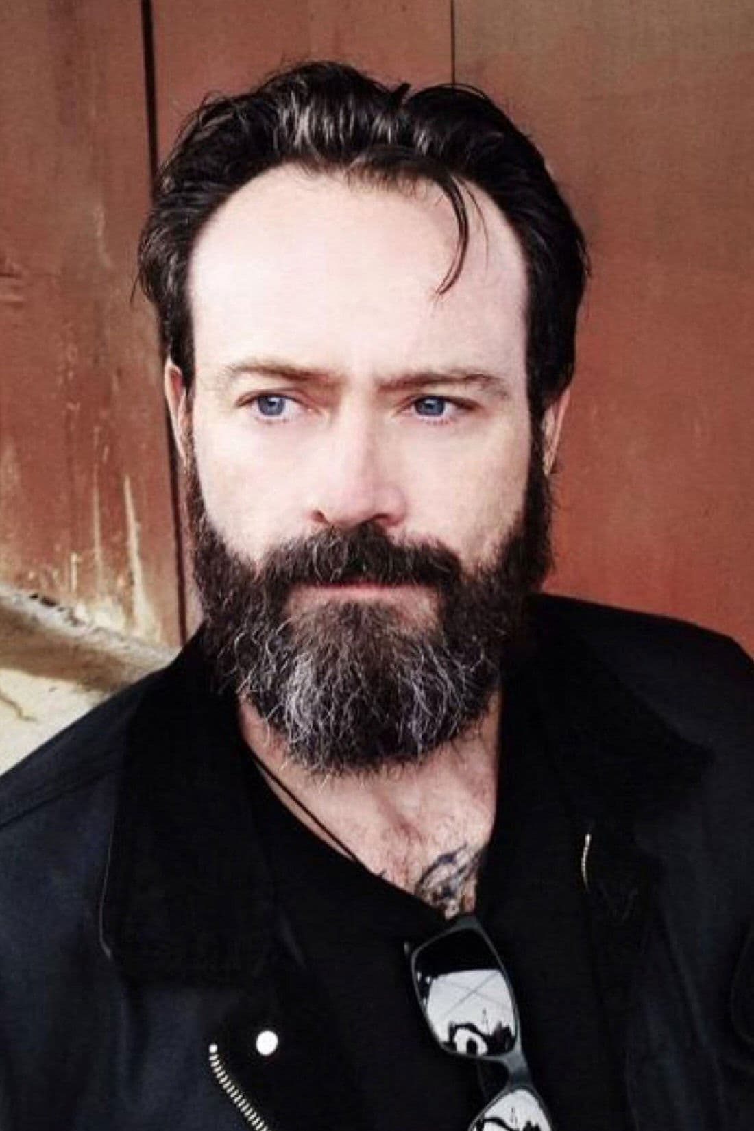 Stephen Gibb profile