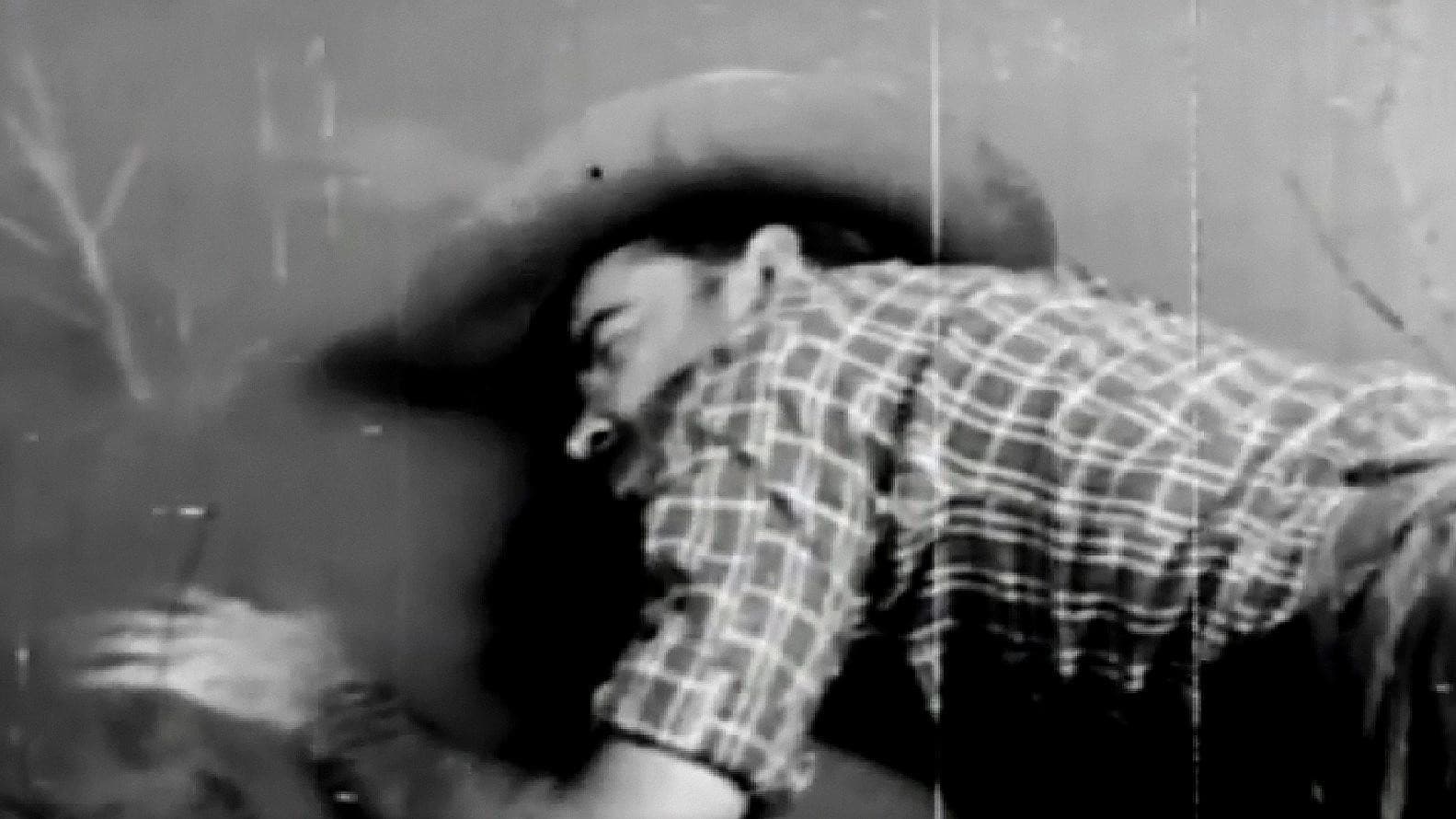 Adventurer's Fate backdrop