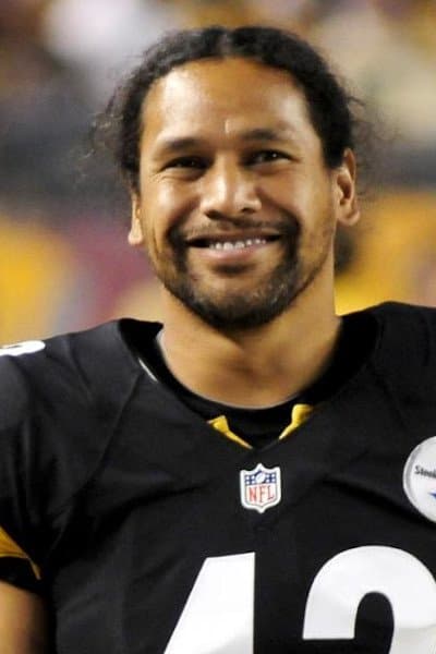 Troy Polamalu profile