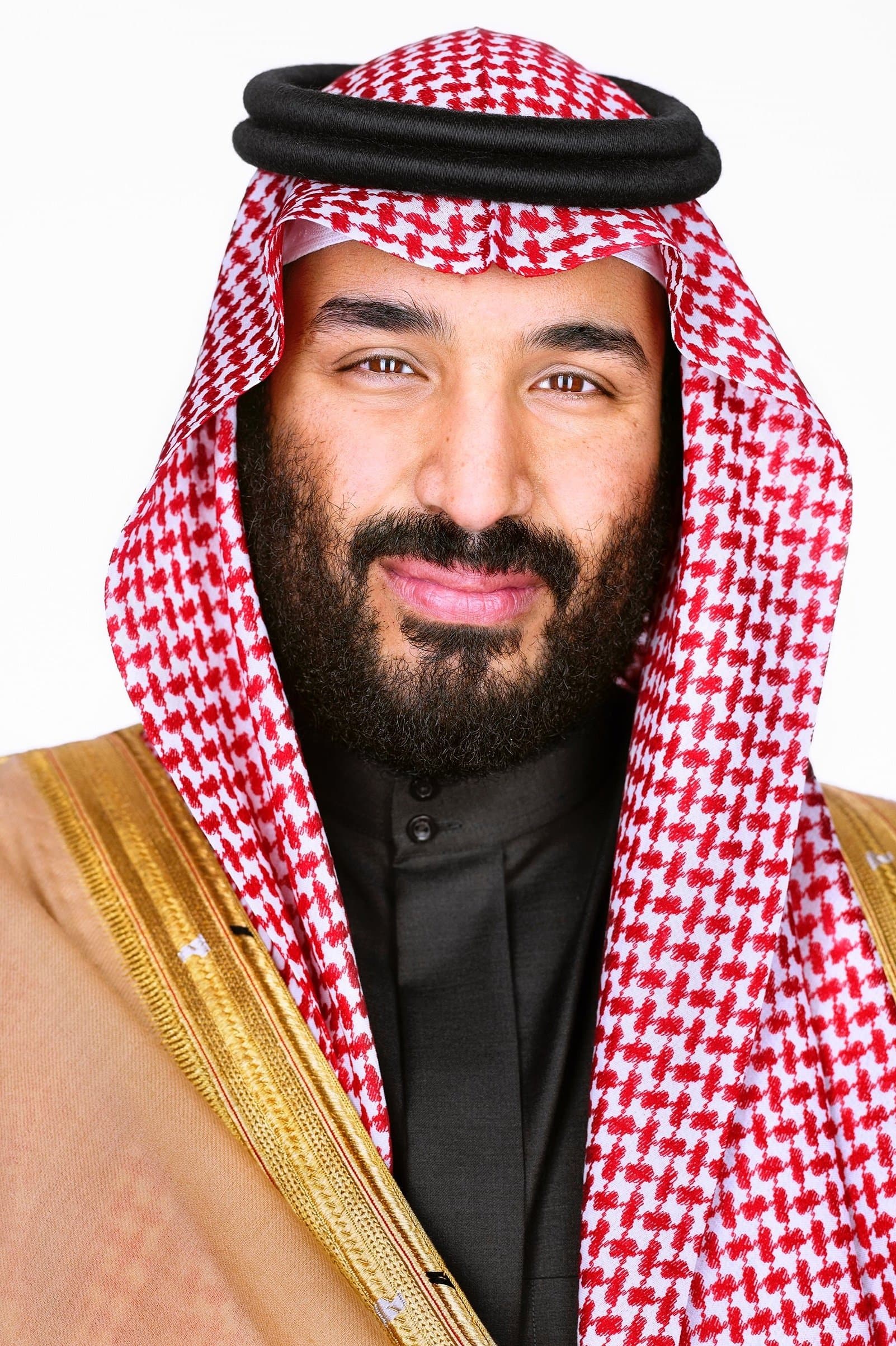Prince Mohammed bin Salman al Saud profile