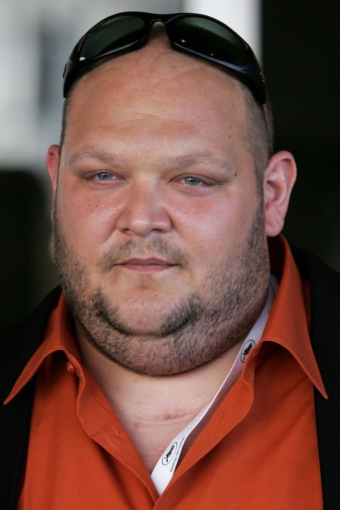 Gergely Trócsányi profile