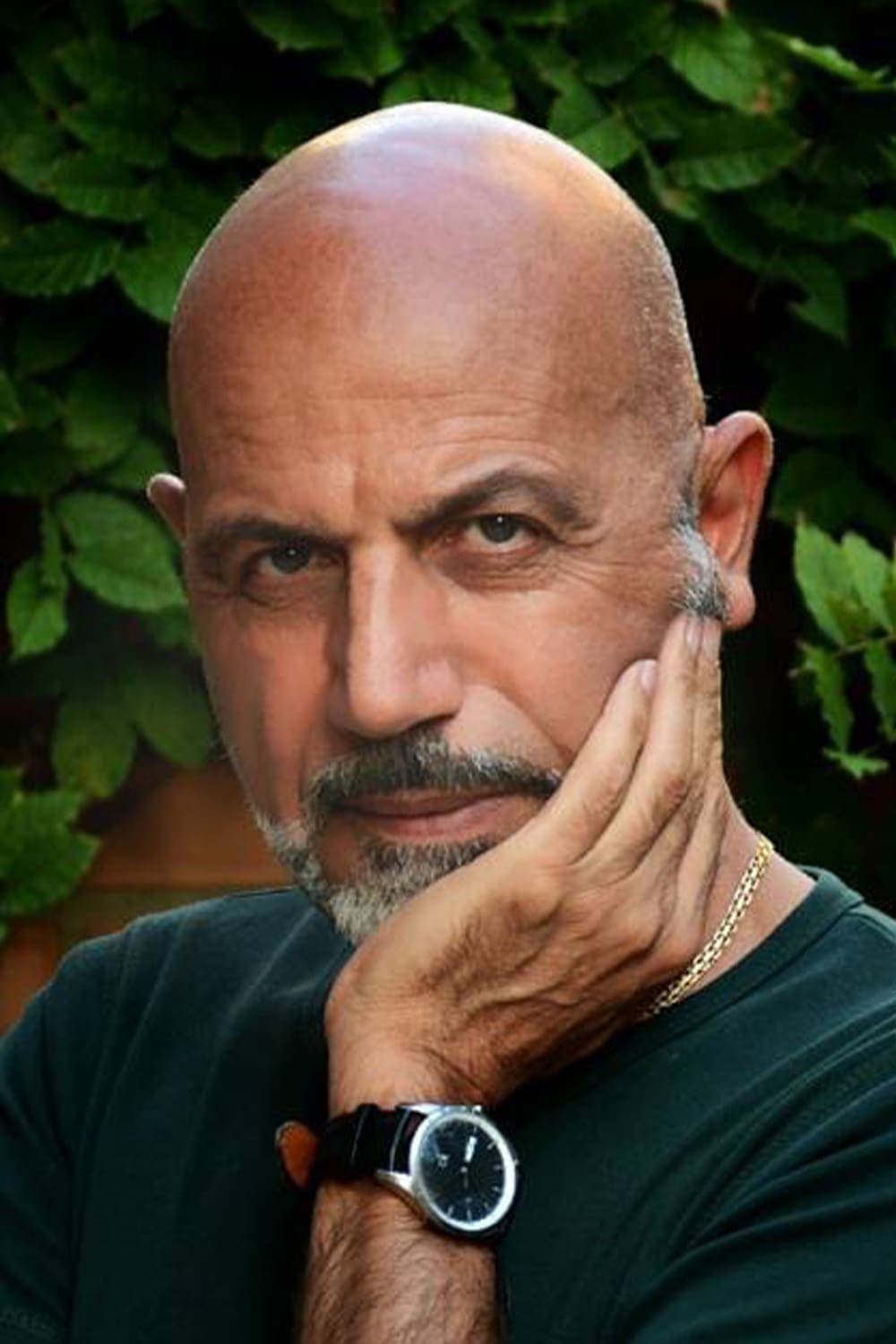 Mohammad Reza Delpak profile