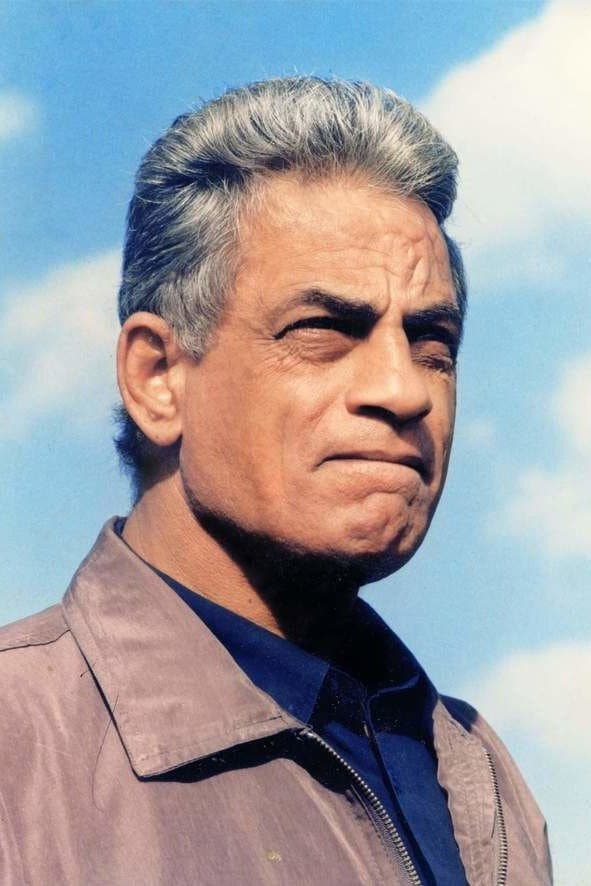 Mahmoud El Kholy profile