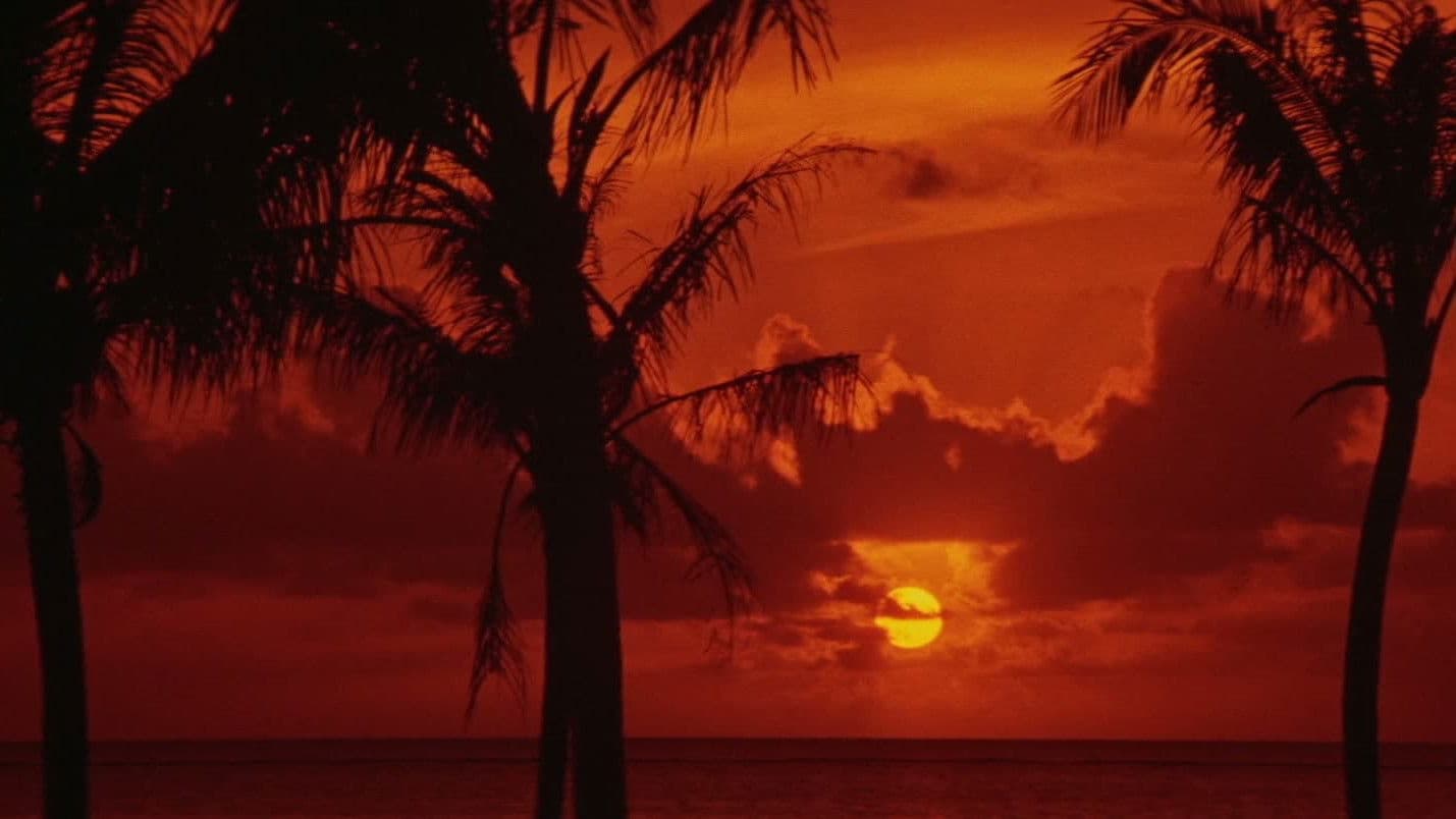 Japanese Godfather: Conclusion backdrop