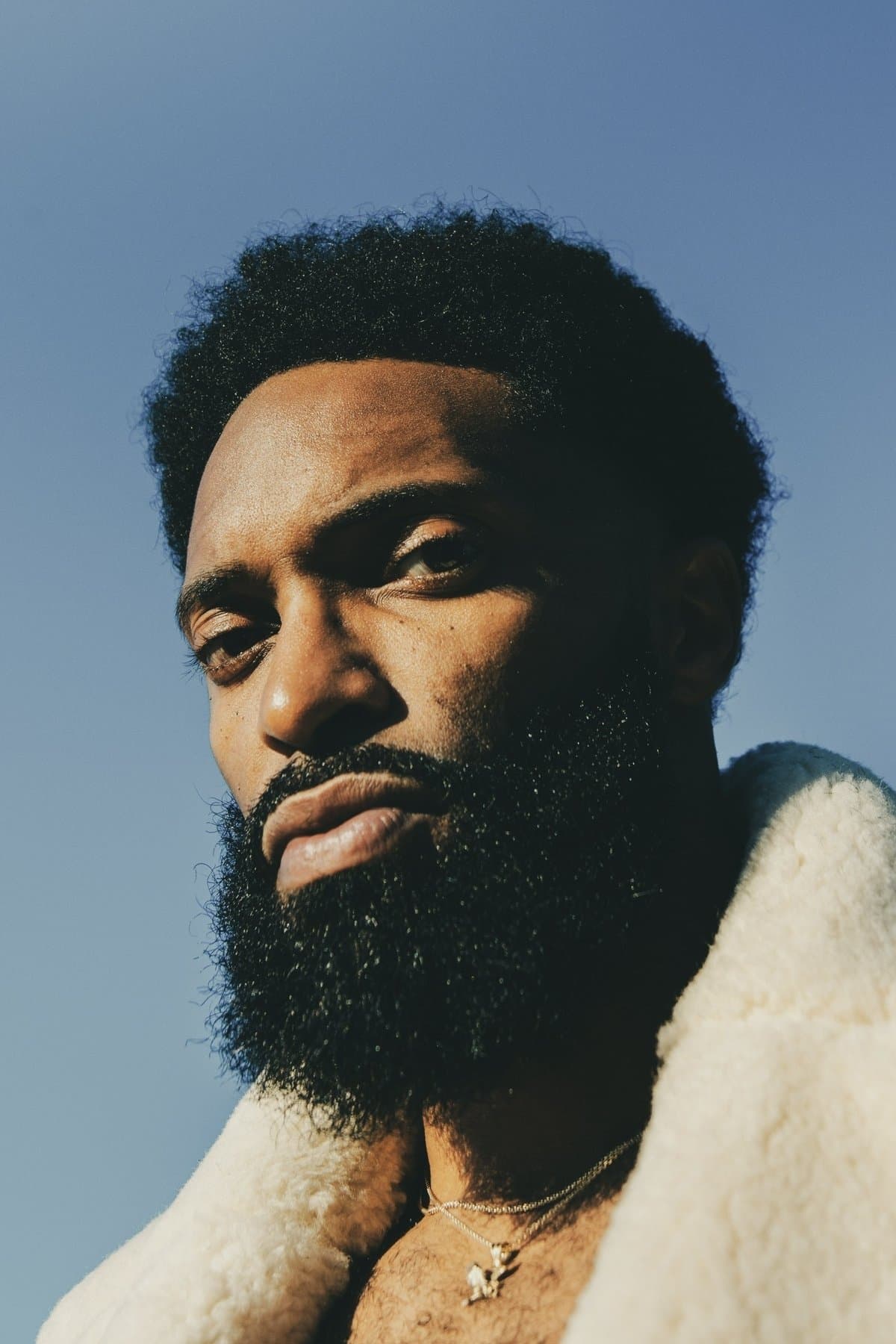 William C. Ingram profile