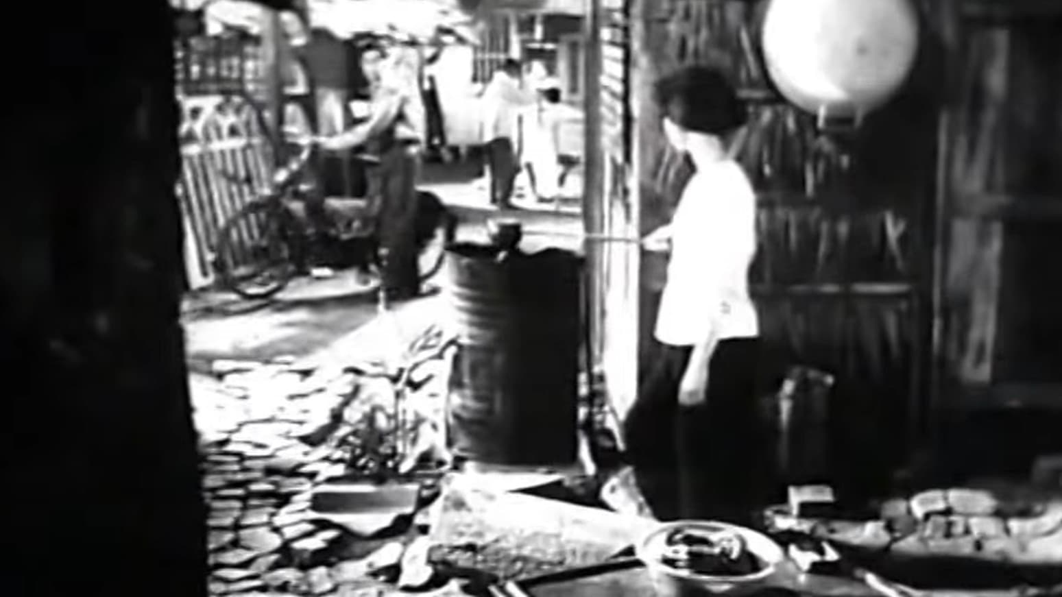 Nguyen Van Troi backdrop