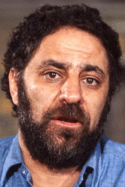 Abbie Hoffman profile