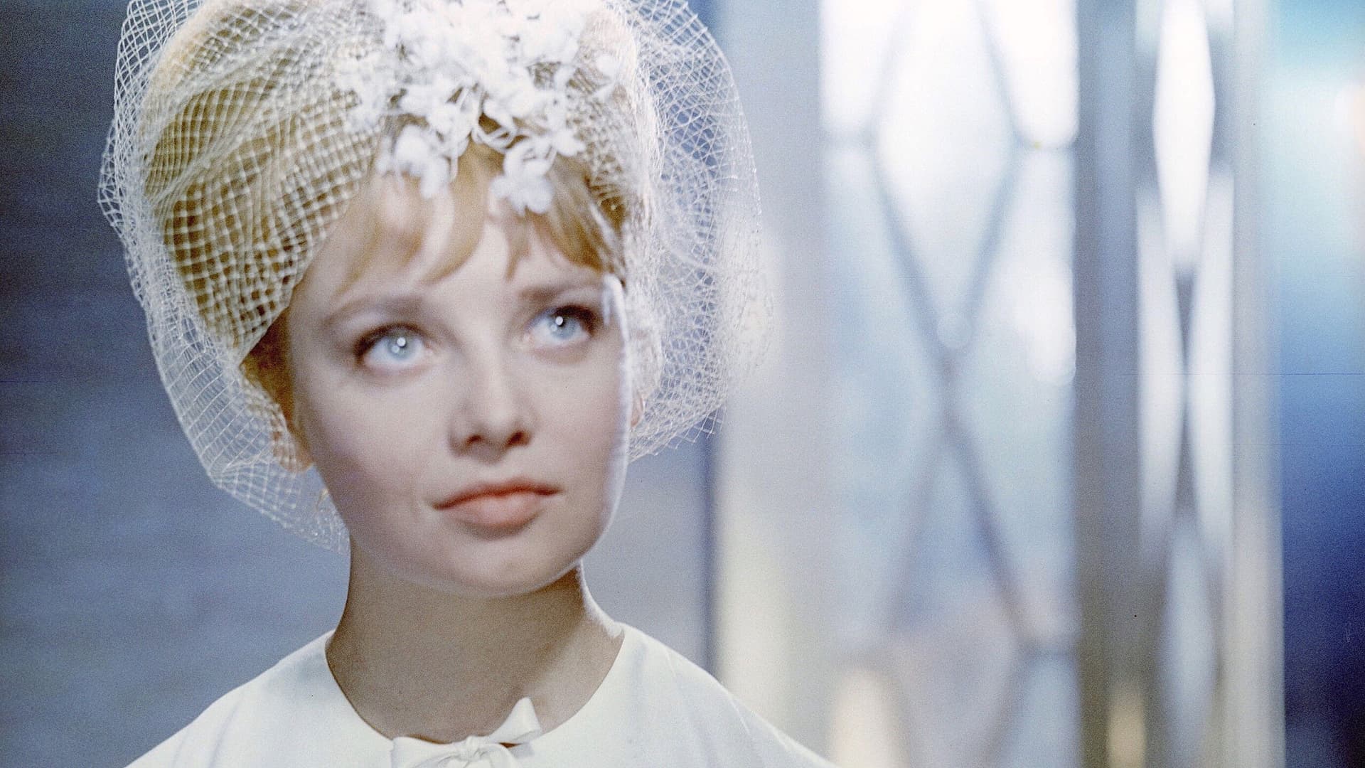 A Royal Regatta backdrop