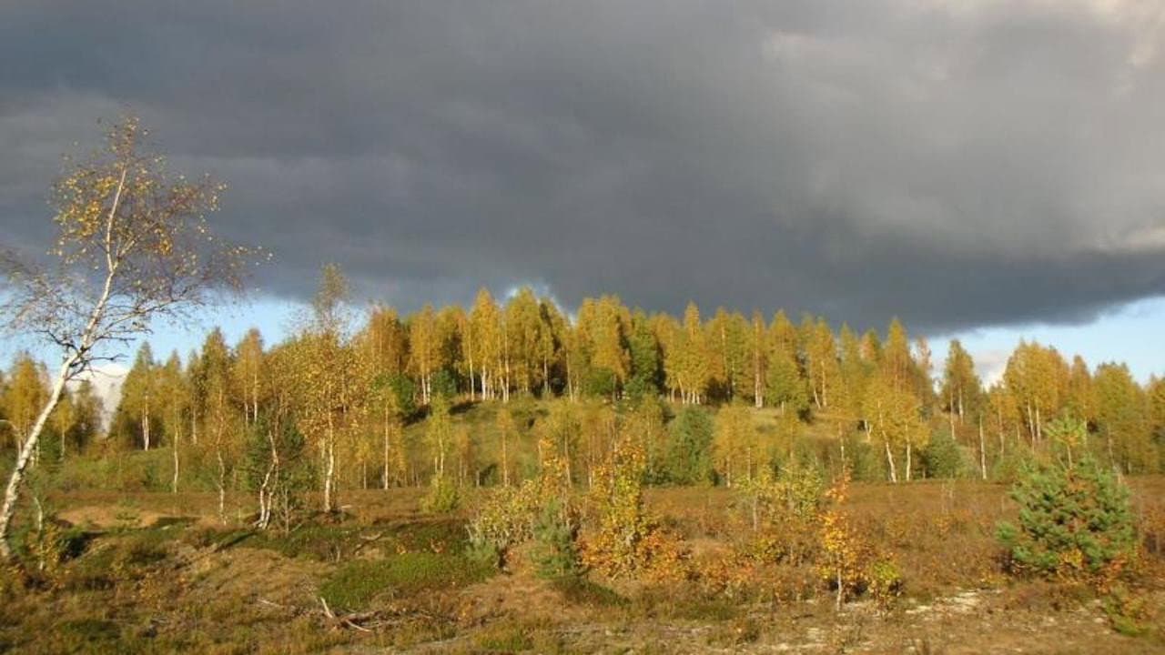 The Blue Hills backdrop