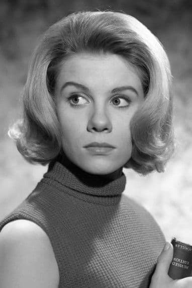 Davey Davison profile