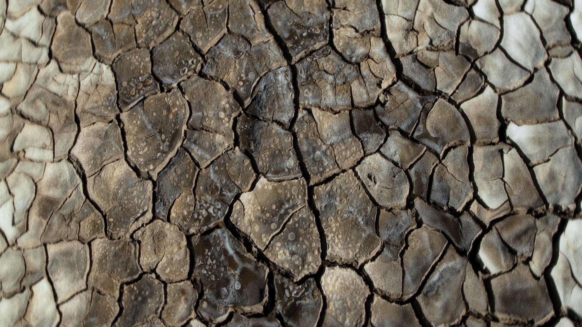 What Does the Mud Whisper?