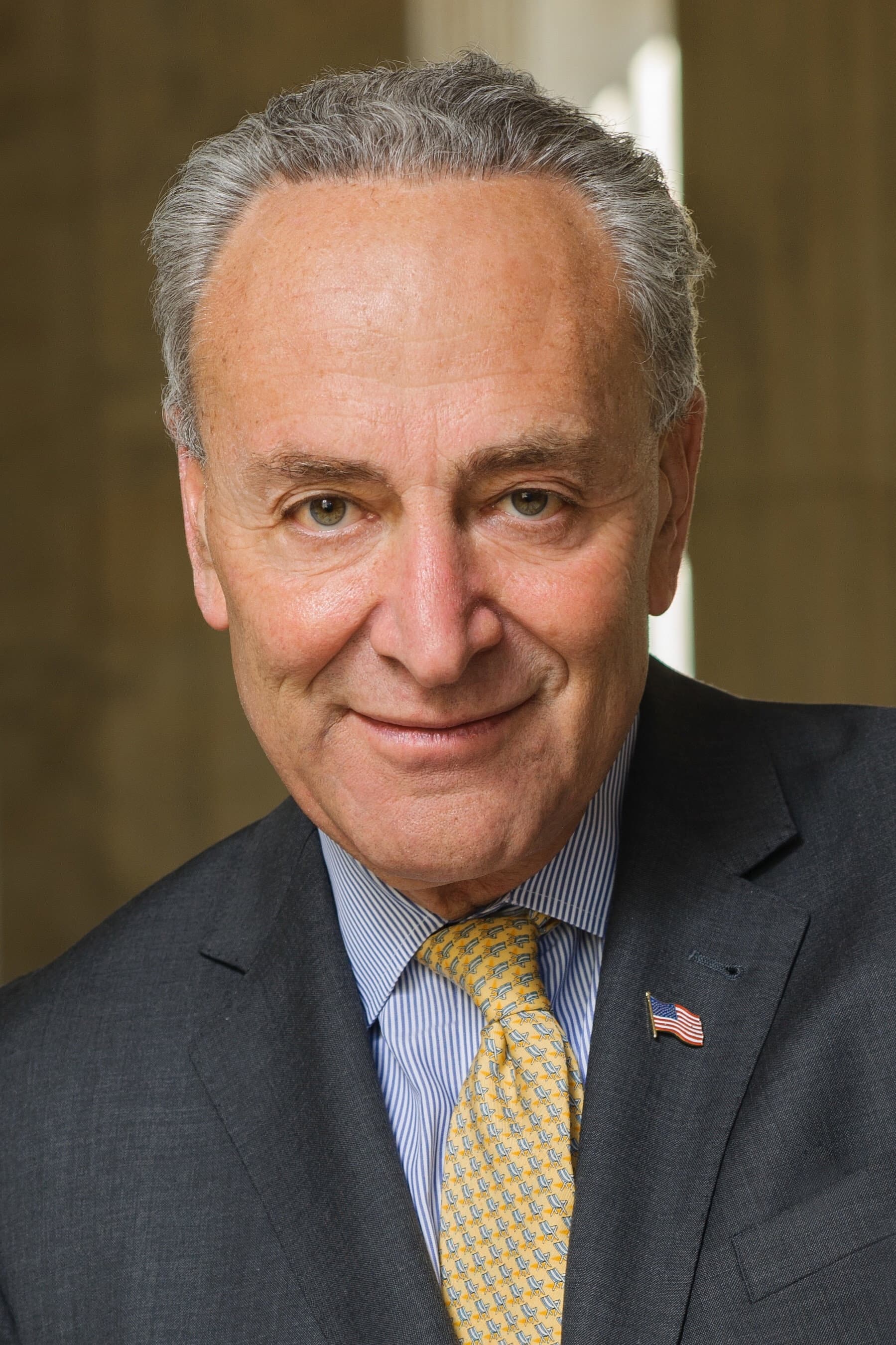 Chuck Schumer profile