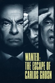 Miniseries