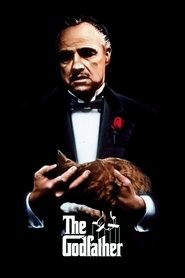 238 poster