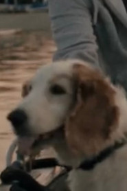 Bodil the Dog