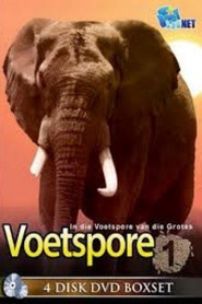 In Die Voetspore van die Grotes