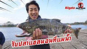 Episode 225