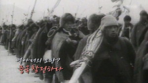 Episode 265