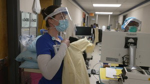 The Parallel Pandemic