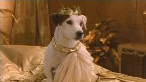 The Entrepawneur