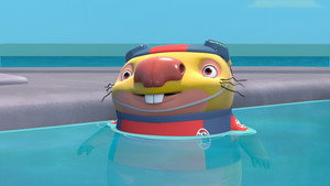 The Big Swim