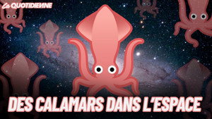 Episode 255
