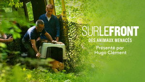 Animals in danger