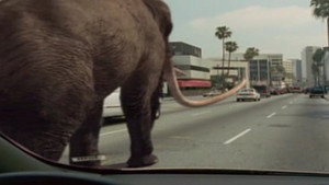 Mammoths To Manhattan