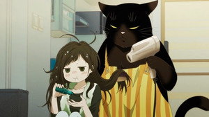 A Masterful Cat Is Popular