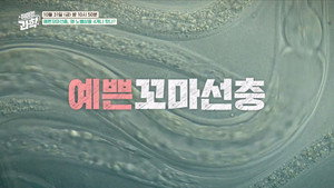 Episode 56