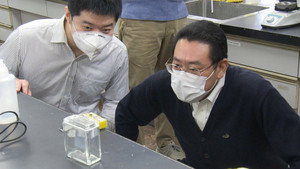 Researchers Develop Plastic That Decomposes After Use