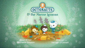 The Marine Iguanas