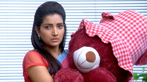 Vasant The Teddy Bear