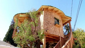 Luck o' the Irish Cottage