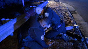 Multi Department Pursuit
