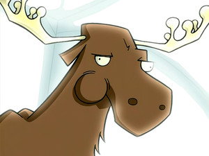A Room with a Moose