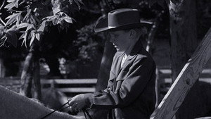 The Snipe Hunt