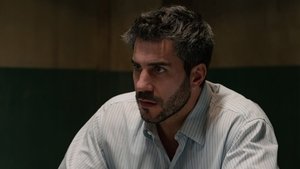 Episode 239