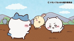 Episode 267