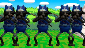 Ninja Cat Marco!