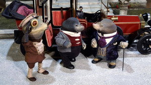 Mole's Cousin