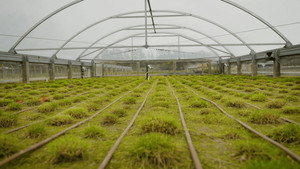 What if... genomics could safeguard our food supply?