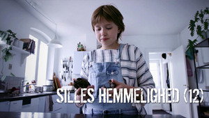 Sille's Secret