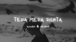 Tera Mera Rishta