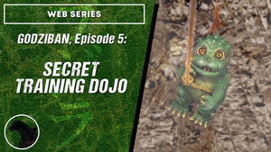 Secret Training Dojo