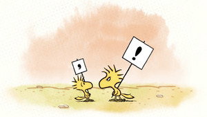 Birds of a Feather