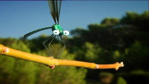 Insect High Velocity